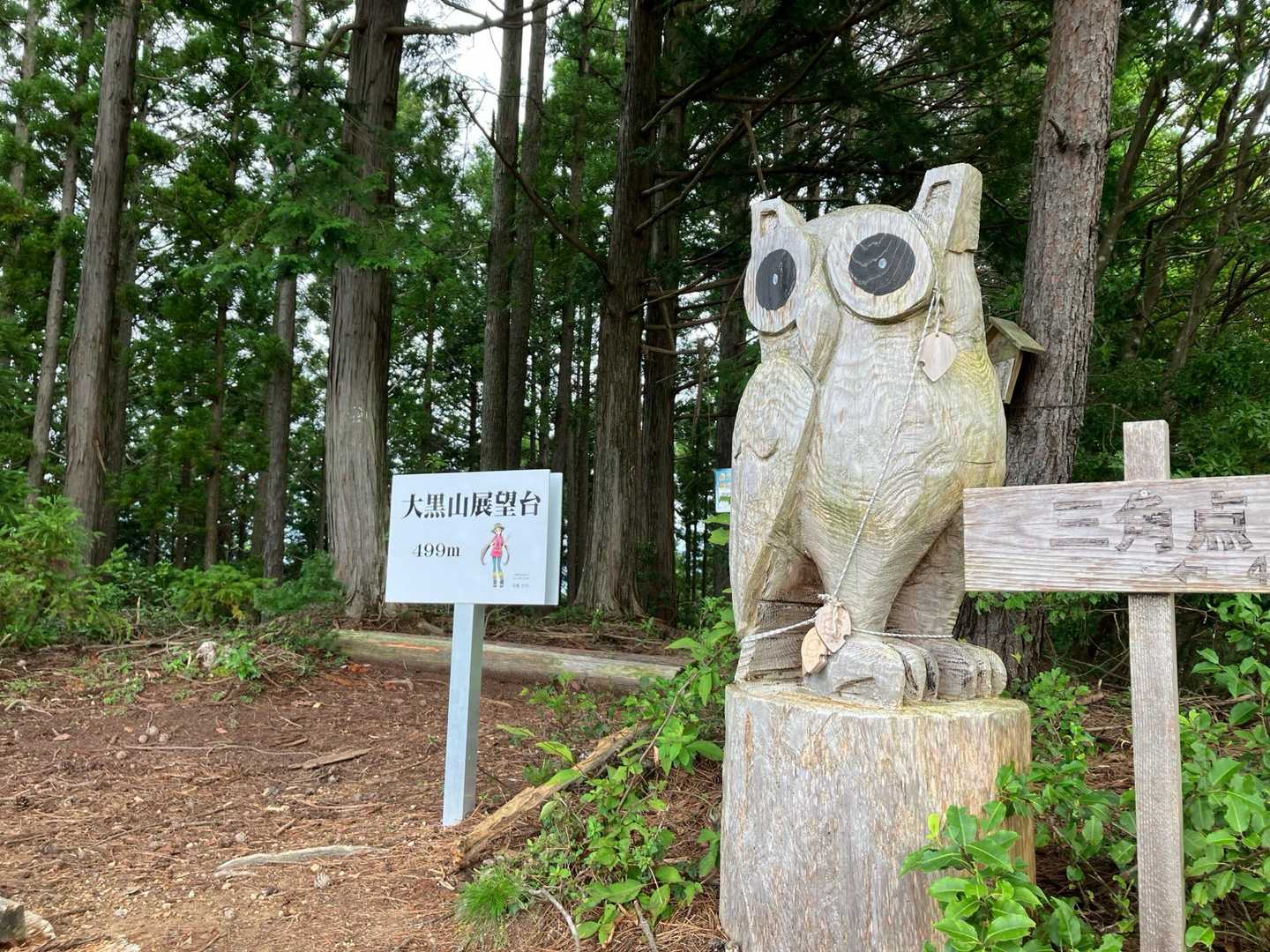 展望台に着いた
こんにちは♪フクロウ🦉ちゃん