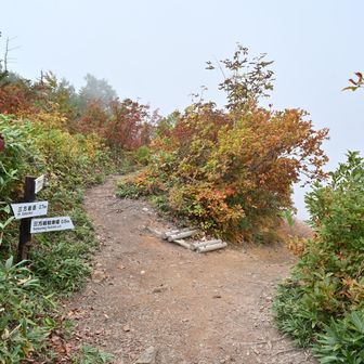 分岐に着いた