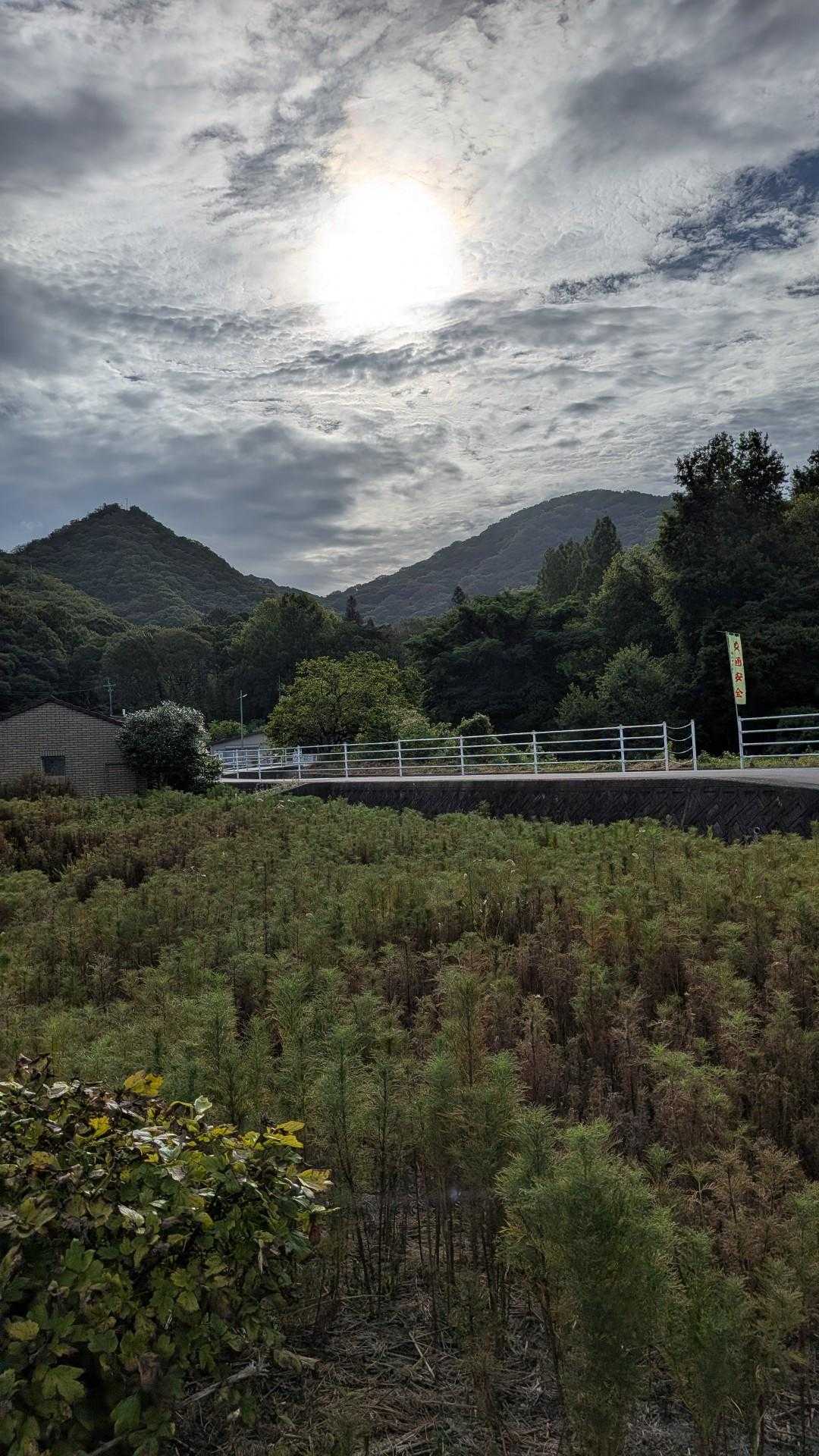 駐車場から龍の口八幡宮登山口に行く途中からのロケーションです。
これから登る山が見えています。
左が八幡宮、右が竜ノ口山です。