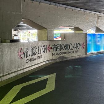新神戸駅到着。
Tシャツはベチャベチャ→ベチャに。
こりゃ地下鉄、椅子には座れんな。