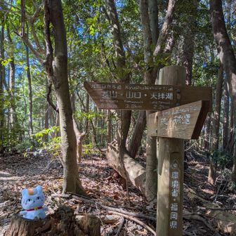 先に奥天拝、大佐野山へ行くので天拝湖を進みます