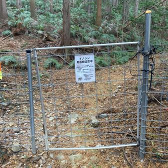 ちょっと行くとイノシシ避けの防護策があります。熊が怖いので熊目撃情報のない渥美半島の山に来ましたが🐻、イノシシにも遭遇したら嫌だなあ🐗