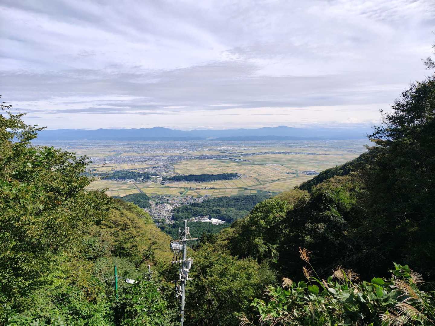 田んぼ〜🌾