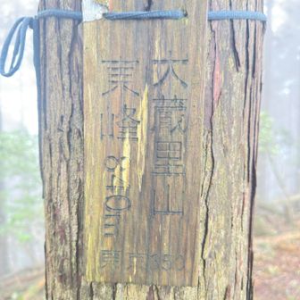 大蔵里山（東峰）登頂840m
