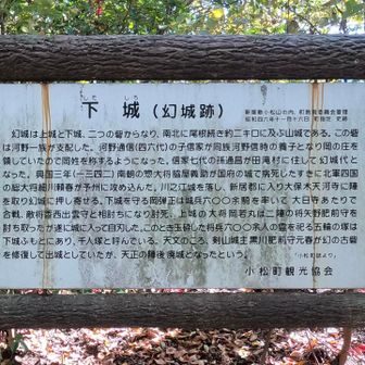 ネットで検索したら中国のドラマに幻城ってタイトルのがあるんだな

ICE FANTASY  やっぱり厨二っぽい