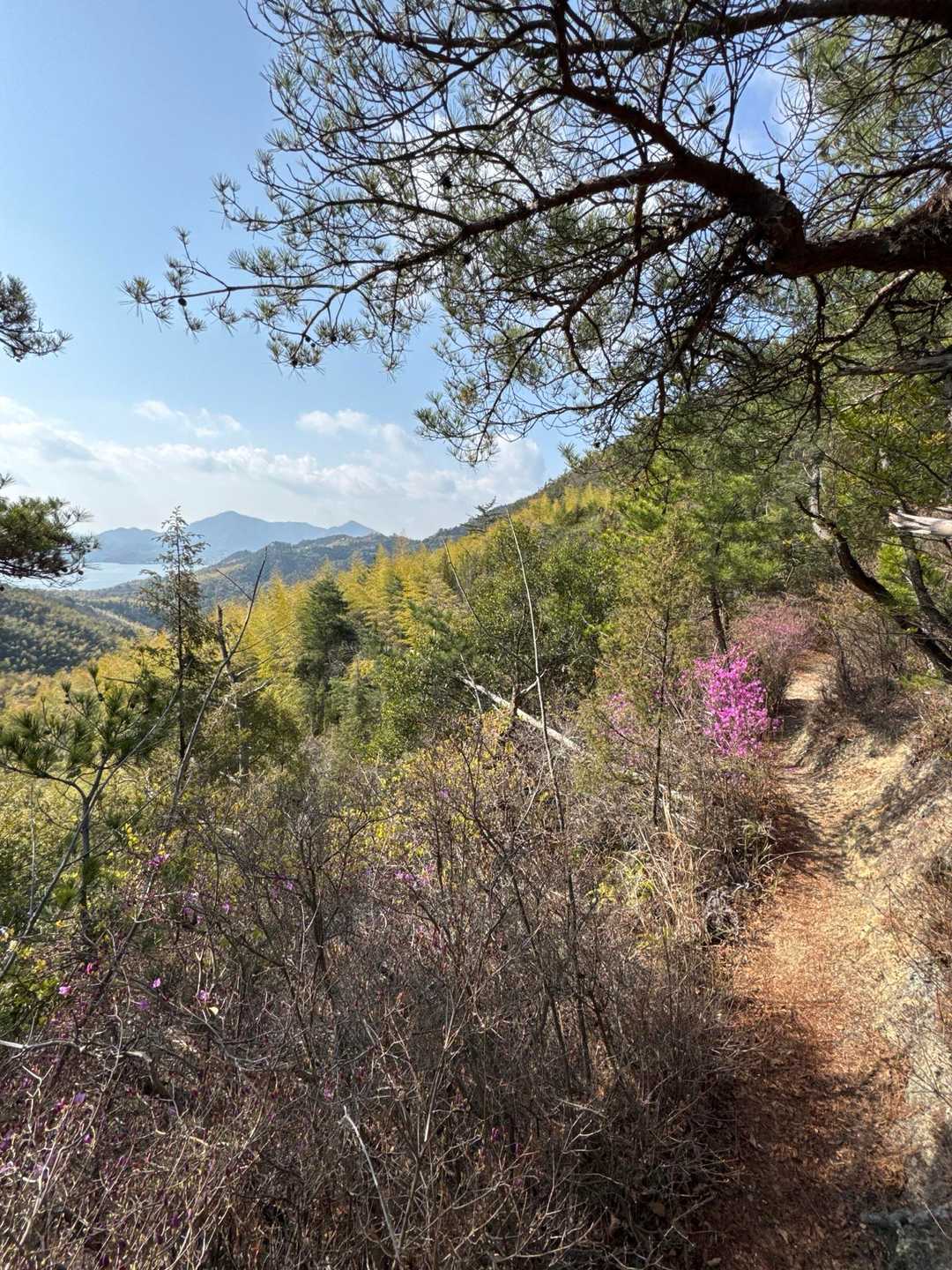 明神山-狗山-大平山 縦走コースの写真