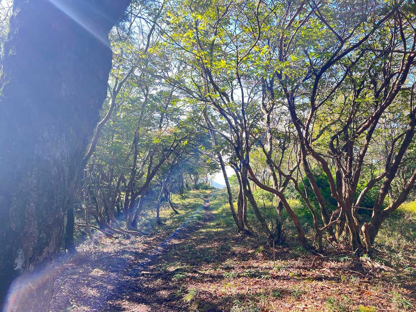 太陽に照らされる稜線