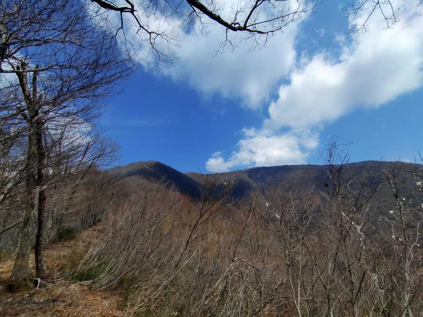 思わず声が出ますね✨️