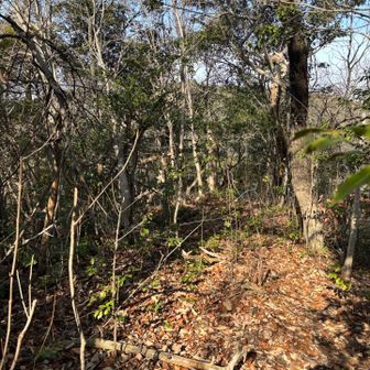 さぁ下って行きます😄↘️