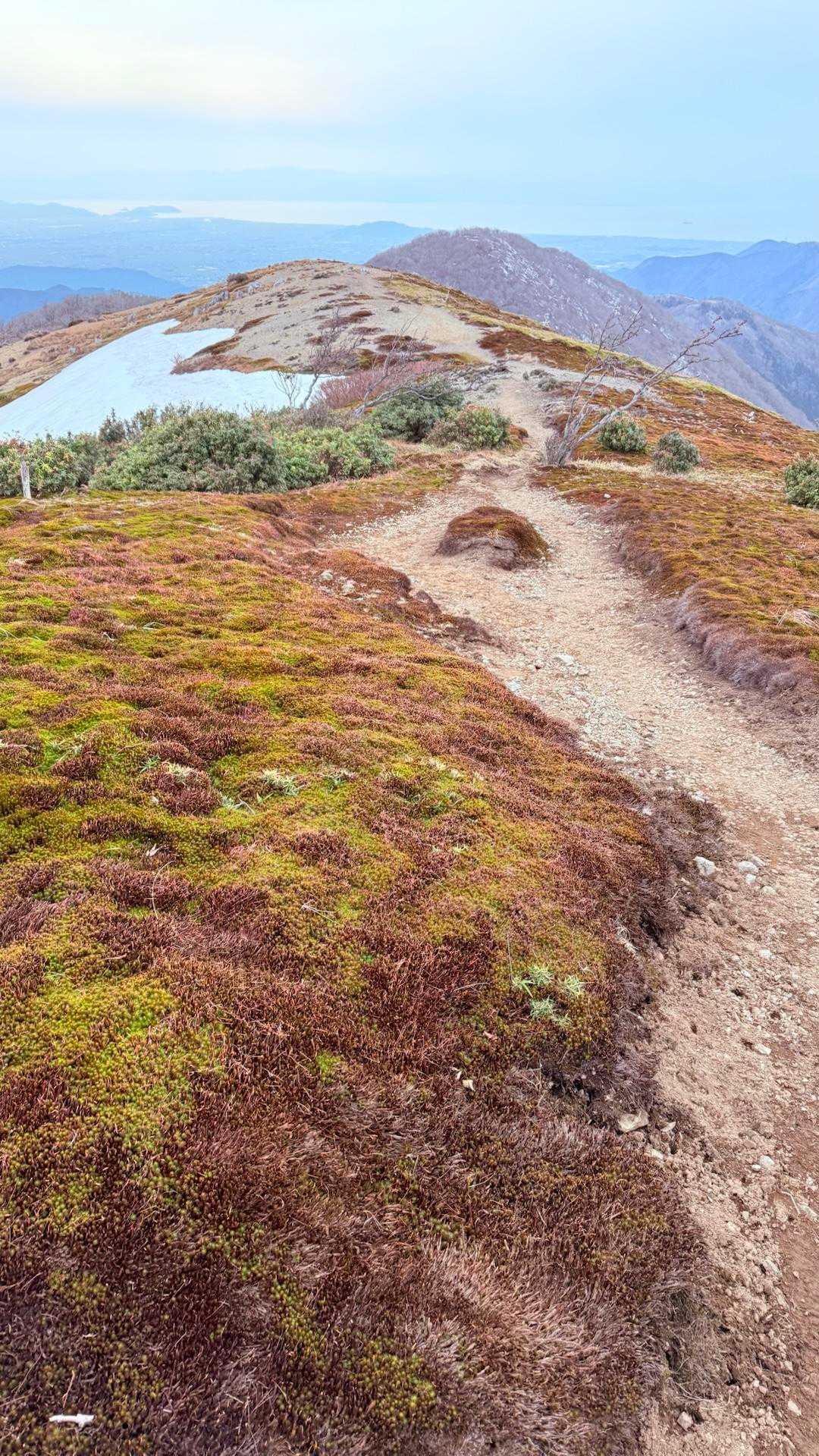 鞍掛トンネル東登山口-鞍掛峠-鈴北岳-鈴ヶ岳 往復コースの写真