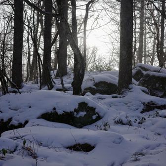 竜ヶ峰、わかりにくかったけどなんとか到着！陽が沈みかけているから早く戻らないと。