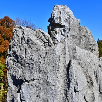 山頂部の「立須」文字
彫った文字だと思い込み、周囲を15分位探しましたが見つからず、後から来た方に探してもらいました（あ〜スッキリ‼︎）
書いたような文字で、何度も通っていた所にあり、おかげで、二度登ることになりました