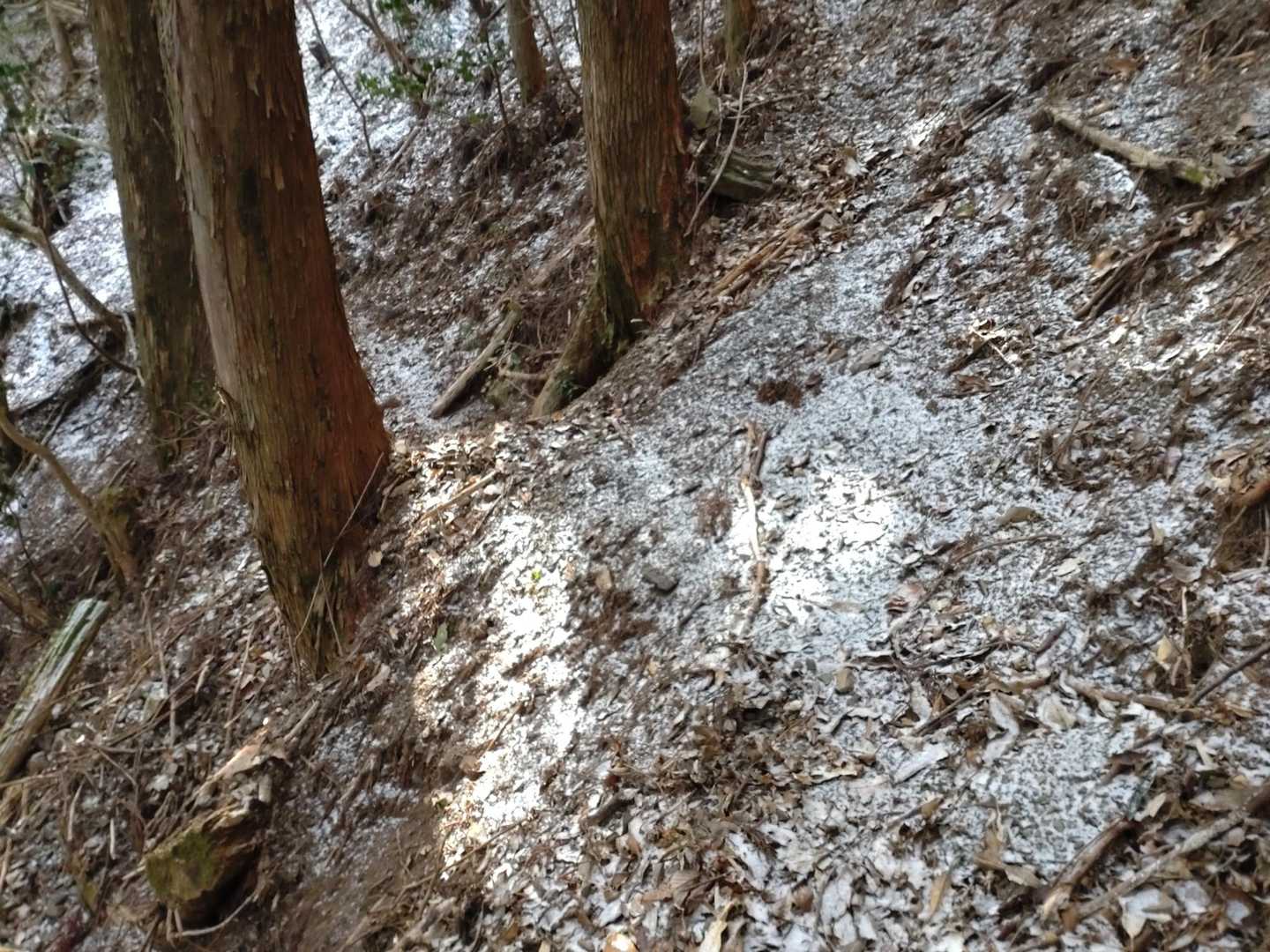 トラバース道で、やや危険な所もあります。