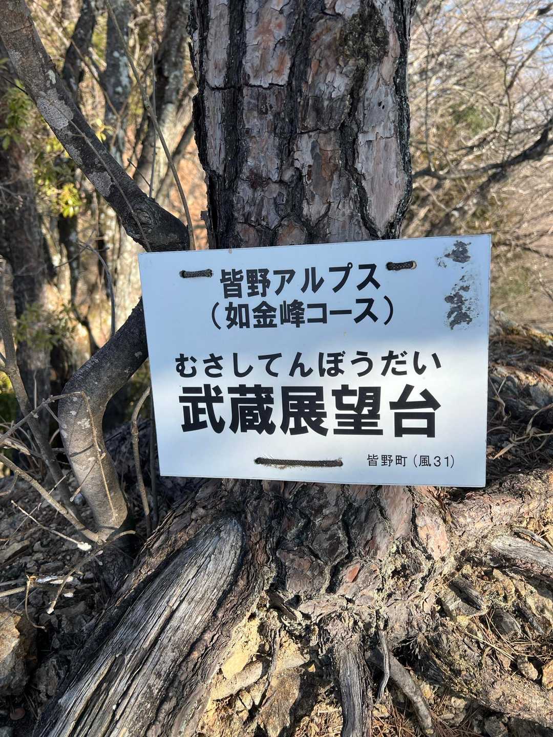 鎖を登ったら展望台