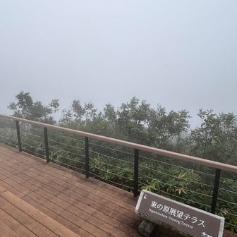 今回の山行の大トリはここの展望テラスの眺望だったのだが、この有り様

今日の展望ポイントは全滅