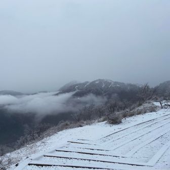 防寒着あるし、テムレスもチェンスパもある
蛭ヶ岳行っちゃうなんて思ったけど