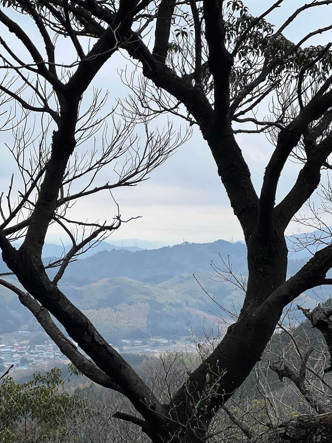 茶臼山 周回コースの写真