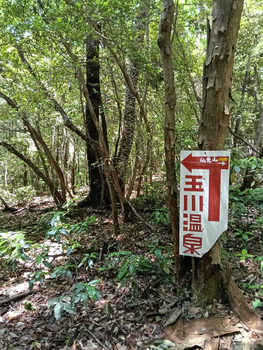 小川町駅-仙元山遊歩道入口-仙元山-城山-大日山-物見山- 縦走コースの写真
