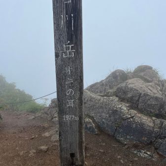 オキノ耳山頂
周りは、真っ白でした🌫️