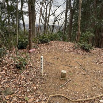 ここのピークは踏んでいませんでした。