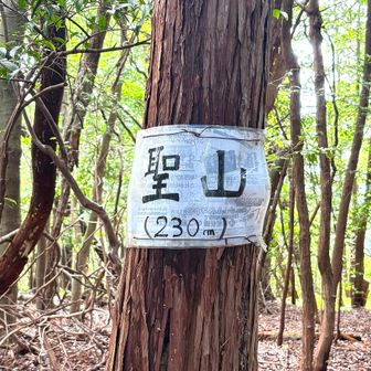チラシの裏で作ってくれてる 笑
ありがとうございます😊