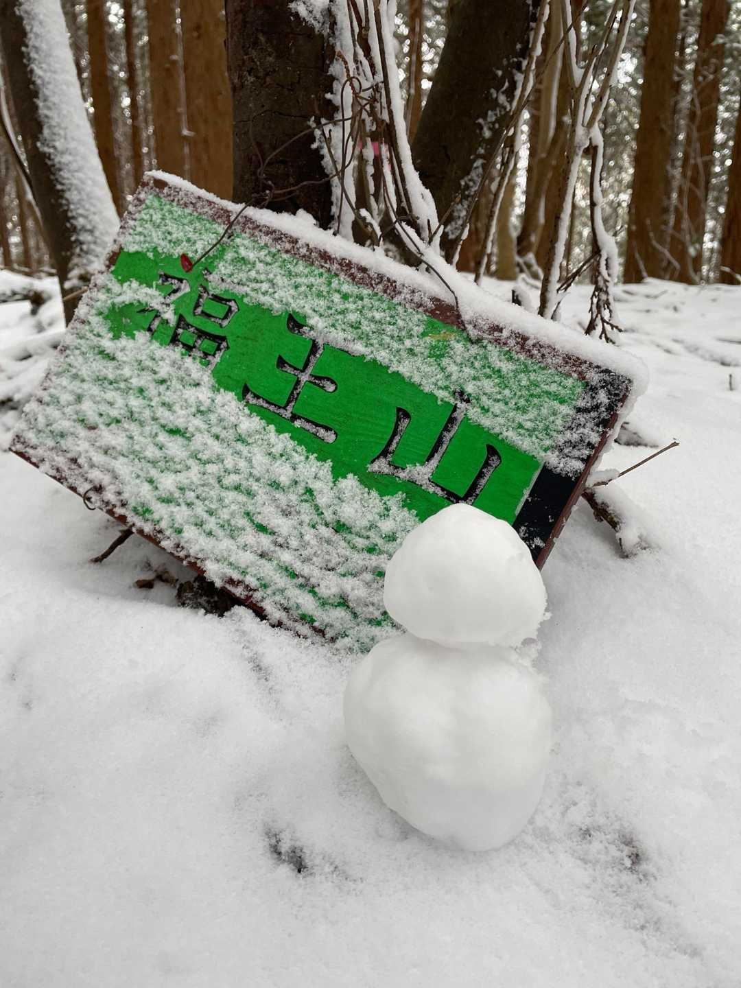 雪だるま作ってきた⛄️