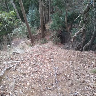 この先も行けそうな雰囲気よ🫣