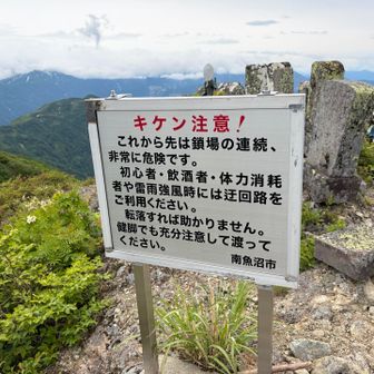 だそうです