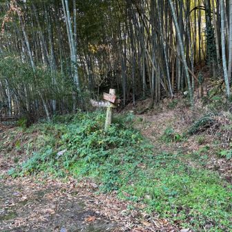 右に入りますよー💦🏃‍♂️
