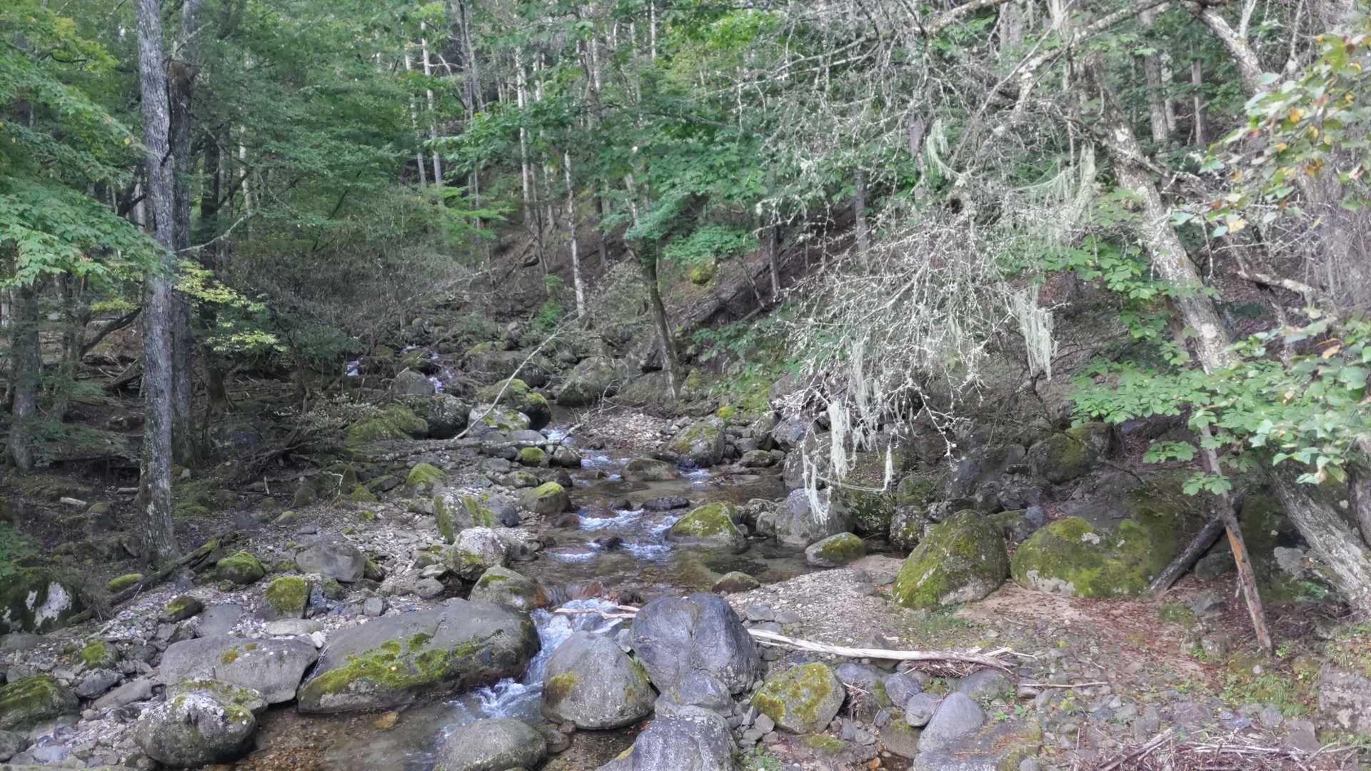 毛木平-千曲川信濃川水源地-甲武信ヶ岳-三宝山 周回コースの写真