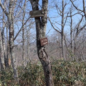 左門岳 山頂
久しぶりの1,000㍍超
あと500㍍ほど進むと福井県