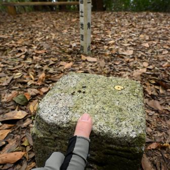 三角点をポチったら、本日最後のピークとなる行重山に向かいます。
