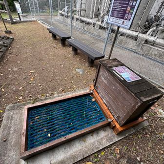 長い階段をひたすら下りて登山口に下山。
また靴底の泥を丁寧に洗浄し港へ。