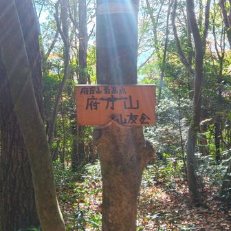 府庁山 最高点 到着☝️