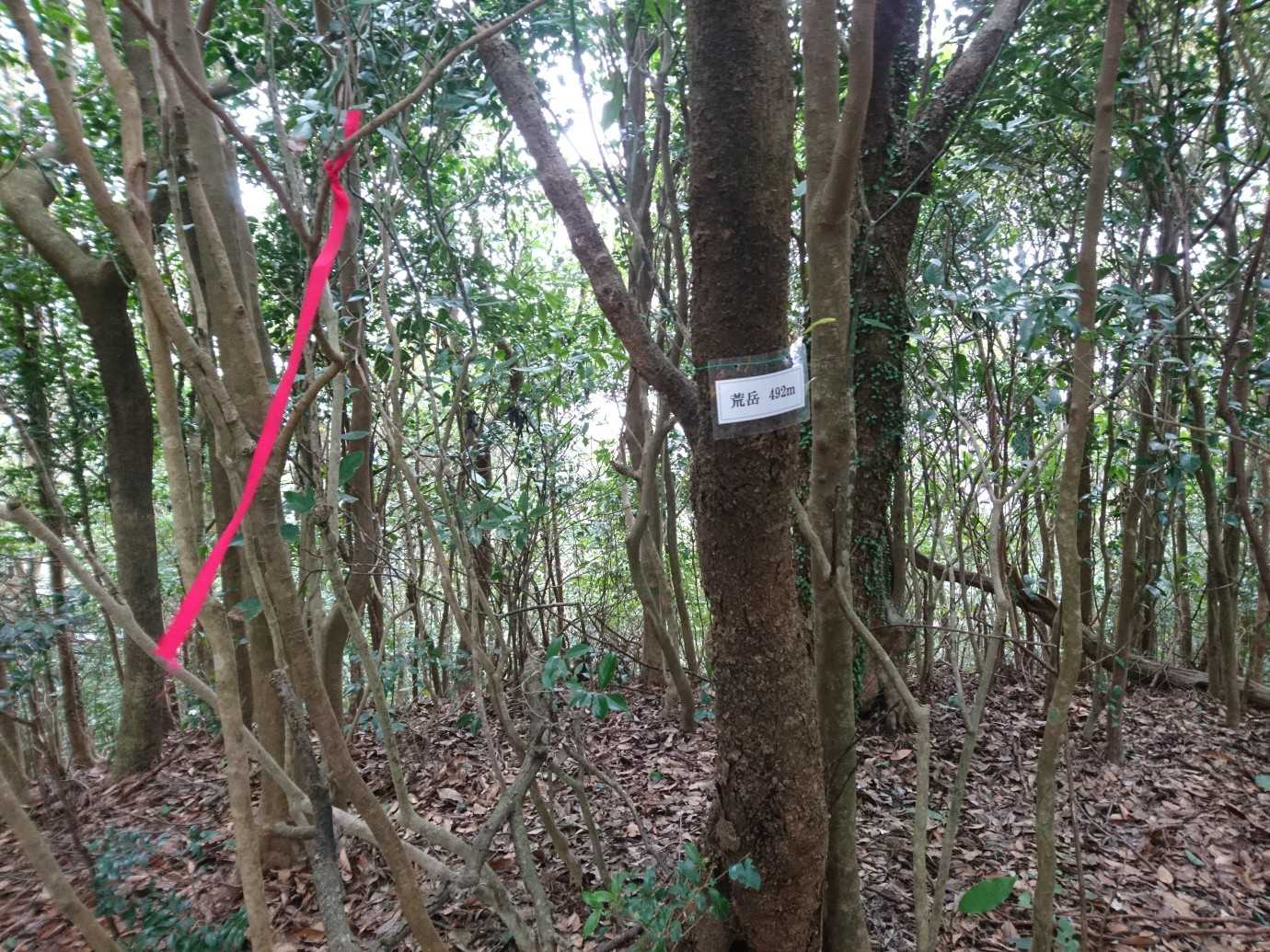 山頂。
毎週、眺望なし😢。