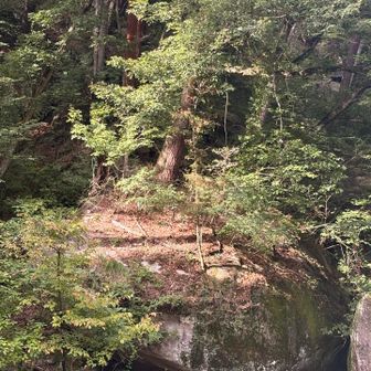 ハマグリ岩