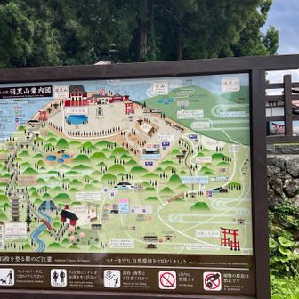 ルート確認！
ふむふむ！