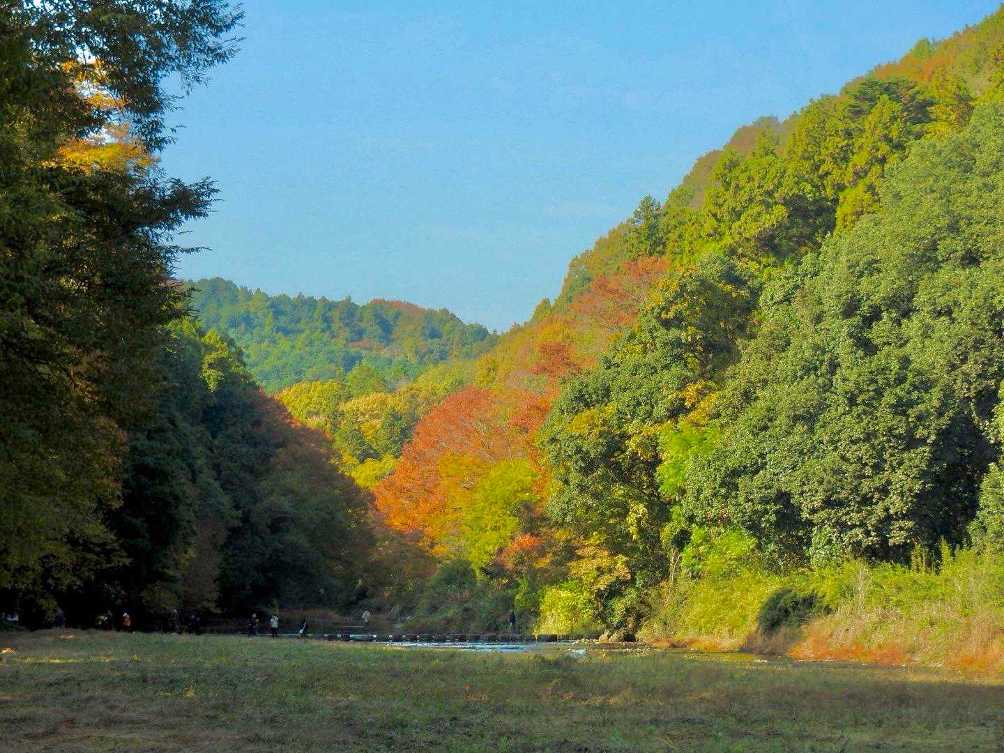 仙元山-城山-大日山-物見山-小倉城跡-大平山-武蔵嵐山駅 縦走コースの写真