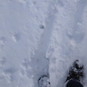 あーあ、先に1人だけ？