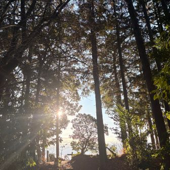 天覚山山頂が迎えてます🥾