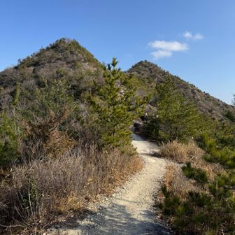 次は鷹ノ巣山を目指します💪