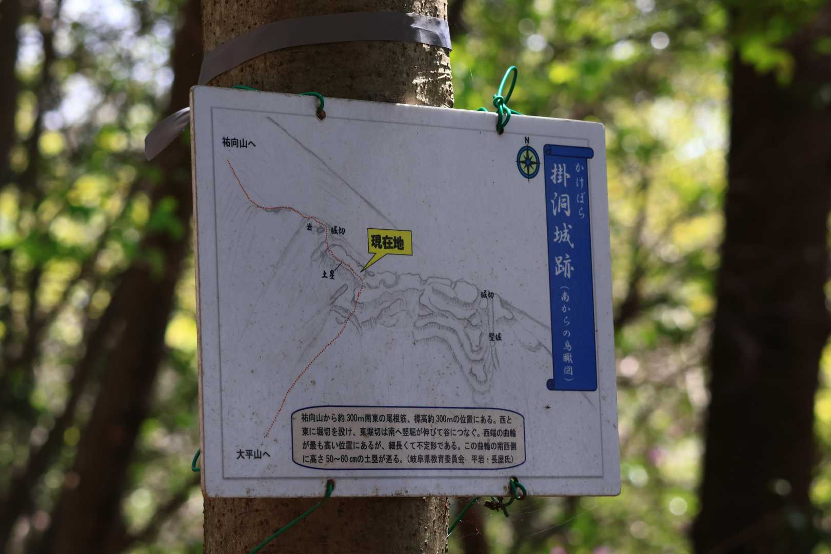 掛洞城跡
ここに登る途中に大きなリスが頭のすぐ上の枝を駆け抜けていきビックリしました。急すぎて写真は撮れず😭