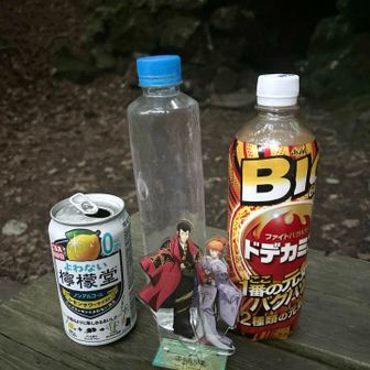 快適すぎて、水まったく飲んでない😆
道中、パピコのみだったな😅


ｲﾀﾀﾞｷ━(人˙꒳​˙  )━ﾏｽｯ♡。。。グビッとな😋

あのー、ここ寒すぎて、ホットコーヒー欲しい