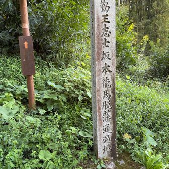 龍馬脱藩通過地