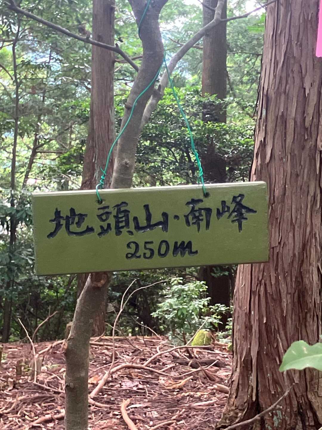 地頭山（南峰）の山頂に到着しました💪
眺望は無しでした。