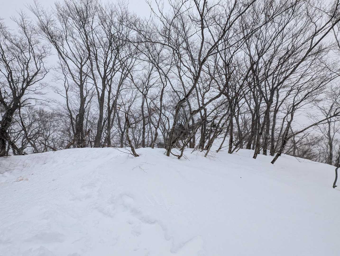 登山入口-熊穴沢ノ頭 往復コースの写真