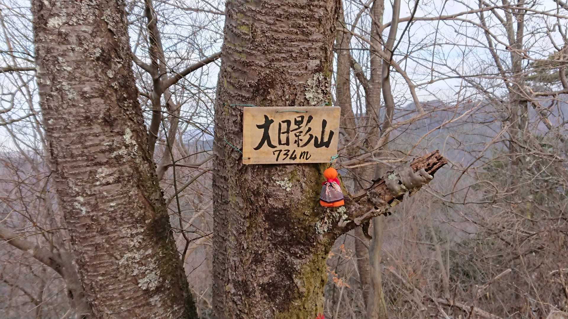 防火帯の急斜面を登って大日影山山頂に到着しました😃💦  16回目の登頂です😄✌️