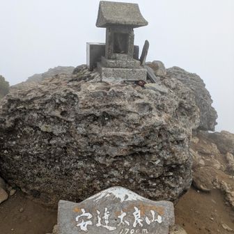 登頂です