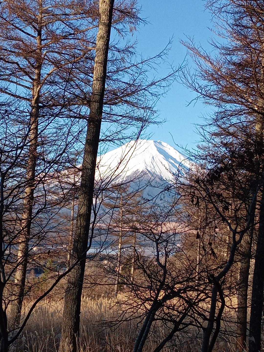 隙間富士山✨
全行程でこんな感じで見えてます😊