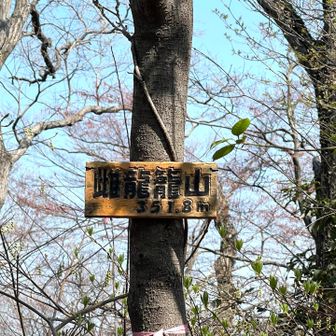 雌龍籠山（めたつごやま）に到着